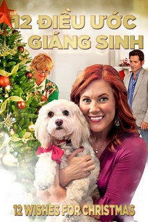 12 Điều Ước Giáng Sinh - 12 Wishes For Christmas (2011)