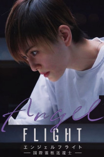 Angel Flight - Angel Flight (2023) Angel Flight - Angel Flight (2023)