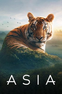 Asia - Asia (2024) Asia - Asia (2024)