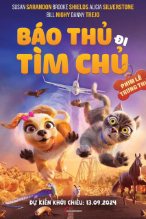 Báo Thủ Đi Tìm Chủ - Gracie & Pedro: Pets to the Rescue (2024) Báo Thủ Đi Tìm Chủ - Gracie & Pedro: Pets to the Rescue (2024)