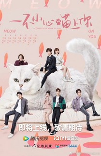 Bất Cẩn Meow Phải Anh - Accidentally Meow On You (2022) Bất Cẩn Meow Phải Anh - Accidentally Meow On You (2022)