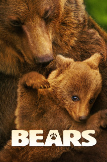 Bears - Bears (2014) Bears - Bears (2014)