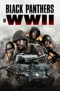 Black Panthers of WWII - Black Panthers of WWII (2025) Black Panthers of WWII - Black Panthers of WWII (2025)