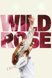 Bông Hồng Hoang Dại - Wild Rose (2019) Bông Hồng Hoang Dại - Wild Rose (2019)
