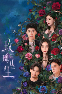 Bụi Hoa Hồng - About Love (2025) Bụi Hoa Hồng - About Love (2025)
