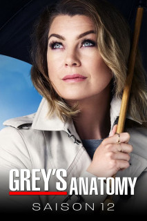 Ca Phẫu Thuật Của Grey (Phần 12) - Grey's Anatomy (Season 12) (2015) Ca Phẫu Thuật Của Grey (Phần 12) - Grey's Anatomy (Season 12) (2015)