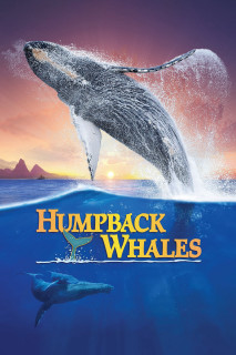 Cá Voi Lưng Gù - Humpback Whales (2015) Cá Voi Lưng Gù - Humpback Whales (2015)