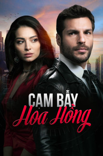 Cạm Bẫy Hoa Hồng - New Life (2020) Cạm Bẫy Hoa Hồng - New Life (2020)