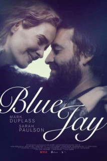 Chim Giẻ Xanh - Blue Jay (2016) Chim Giẻ Xanh - Blue Jay (2016)