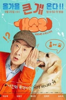 Chú Chó Biết Tuốt - Dog Knows Everything (2024) Chú Chó Biết Tuốt - Dog Knows Everything (2024)