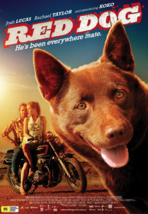 Chú Chó Đỏ - Red Dog (2011) Chú Chó Đỏ - Red Dog (2011)