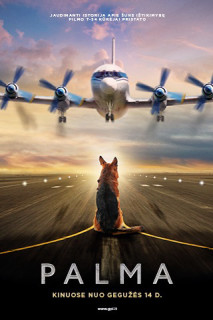 Chú Chó Palma - A Dog Named Palma (2021) Chú Chó Palma - A Dog Named Palma (2021)