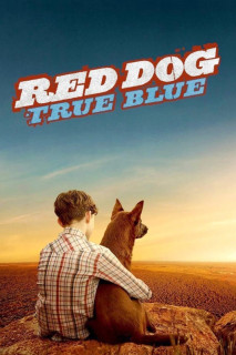 Chú Chó Trung Thành 2 - Red Dog 2: True Blue (2016) Chú Chó Trung Thành 2 - Red Dog 2: True Blue (2016)