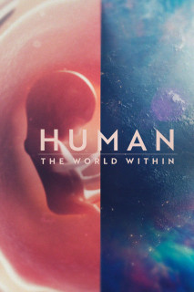 Con người: Thế giới bên trong cơ thể - Human: The World Within (2021) Con người: Thế giới bên trong cơ thể - Human: The World Within (2021)