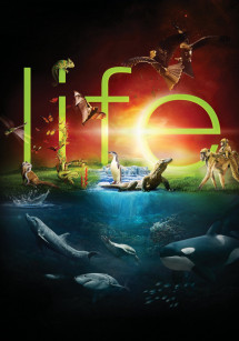 Cuộc Sống Hoang Dã - BBC: Life (2009) Cuộc Sống Hoang Dã - BBC: Life (2009)
