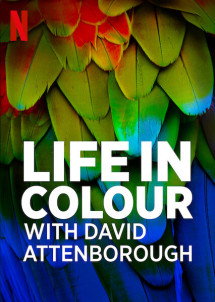 David Attenborough: Sự sống đầy màu sắc - Life in Colour with David Attenborough (2021) David Attenborough: Sự sống đầy màu sắc - Life in Colour with David Attenborough (2021)