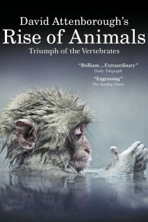 David Attenborough's Rise of Animals: Triumph of the Vertebrates - David Attenborough's Rise of Animals: Triumph of the Vertebrates (2013) David Attenborough's Rise of Animals: Triumph of the Vertebrates - David Attenborough's Rise of Animals: Triumph of the Vertebrates (2013)