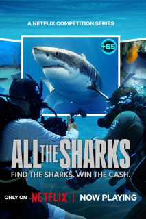 Đi tìm cá mập - All the Sharks (2025) Đi tìm cá mập - All the Sharks (2025)
