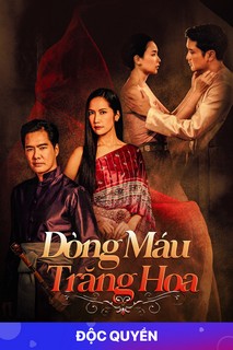 Dòng Máu Trăng Hoa - Lady Kaki (2022) Dòng Máu Trăng Hoa - Lady Kaki (2022)