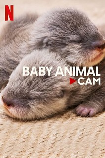 Động vật bé cưng trên camera - Baby Animal Cam (2023) Động vật bé cưng trên camera - Baby Animal Cam (2023)