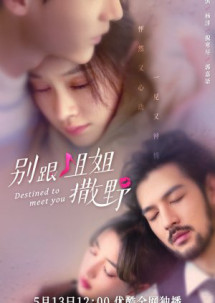 Đừng Nhờn Với Chị - Destined to Meet You (2022) Đừng Nhờn Với Chị - Destined to Meet You (2022)