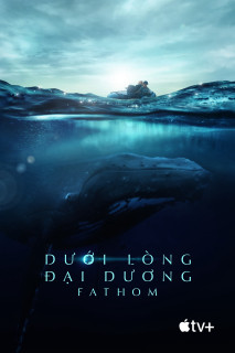 Dưới Lòng Đại Dương - Fathom - Fathom (2021) Dưới Lòng Đại Dương - Fathom - Fathom (2021)