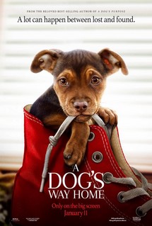 Đường Về Nhà Của Cún Con - A Dog's Way Home (2019) Đường Về Nhà Của Cún Con - A Dog's Way Home (2019)
