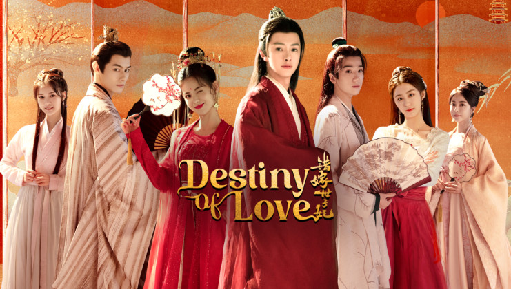 Gả Nhầm Thế Tử Phi - Destiny of Love