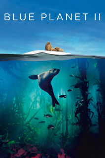 Hành Tinh Màu Xanh Dương 2 - Blue Planet II (2017) Hành Tinh Màu Xanh Dương 2 - Blue Planet II (2017)