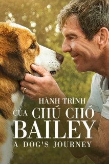 Hành Trình Của Chú Chó Bailey - A Dog's Journey (2019) Hành Trình Của Chú Chó Bailey - A Dog's Journey (2019)