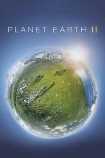Hành Trình Trái Đất 2 - Planet Earth II (2016) Hành Trình Trái Đất 2 - Planet Earth II (2016)