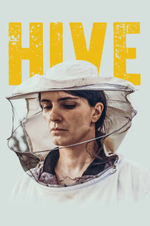 Hive - Zgjoi (2021) Hive - Zgjoi (2021)