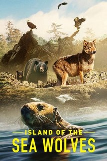 Hòn đảo của sói biển - Island of the Sea Wolves (2022) Hòn đảo của sói biển - Island of the Sea Wolves (2022)