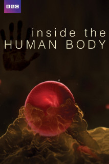 Inside the Human Body - Inside the Human Body (2011) Inside the Human Body - Inside the Human Body (2011)