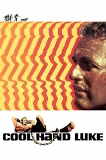 Kẻ Trơ Tráo - Cool Hand Luke (1967) Kẻ Trơ Tráo - Cool Hand Luke (1967)