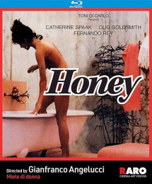 Khách Sạn Dục Vọng - Honey (1981) Khách Sạn Dục Vọng - Honey (1981)