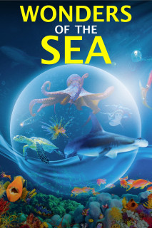 Kỳ Quan Của Đại Dương - Wonders of the Sea 3D (2017) Kỳ Quan Của Đại Dương - Wonders of the Sea 3D (2017)