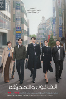 Luật Sư Phường Seocho - Law and The City (2025) Luật Sư Phường Seocho - Law and The City (2025)