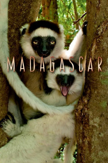 Madagascar 2011 - Madagascar (2011) Madagascar 2011 - Madagascar (2011)