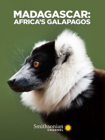 Madagascar: Africa's Galapagos - Madagascar: Africa's Galapagos (2019) Madagascar: Africa's Galapagos - Madagascar: Africa's Galapagos (2019)
