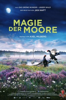 Magie der Moore - Magie der Moore (2015) Magie der Moore - Magie der Moore (2015)