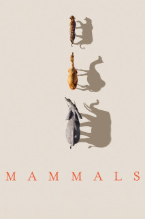 Mammals (2024) - Mammals (2024) Mammals (2024) - Mammals (2024)