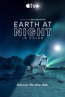 Màn đêm trên Trái Đất: Thước phim trong bóng tối - Night on Earth: Shot in the Dark (2020) Màn đêm trên Trái Đất: Thước phim trong bóng tối - Night on Earth: Shot in the Dark (2020)