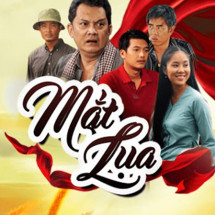 Mắt Lụa - Mắt Lụa (2017) Mắt Lụa - Mắt Lụa (2017)