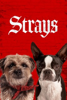 Những Chú Chó Bụi Đời - Strays (2023) Những Chú Chó Bụi Đời - Strays (2023)