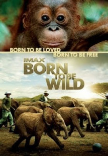 Những Loài Vật Mồ Côi - Born to Be Wild (2011) Những Loài Vật Mồ Côi - Born to Be Wild (2011)