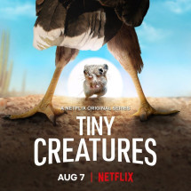 Những sinh vật tí hon - Tiny Creatures (2020) Những sinh vật tí hon - Tiny Creatures (2020)