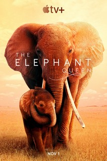 Nữ Hoàng Voi - The Elephant Queen (2019) Nữ Hoàng Voi - The Elephant Queen (2019)