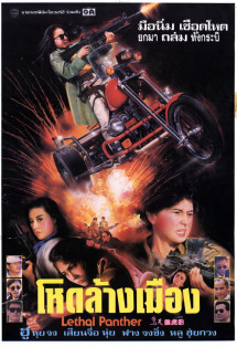 Nữ Sát Thủ Xinh Đẹp - Lethal Panther (1990) Nữ Sát Thủ Xinh Đẹp - Lethal Panther (1990)