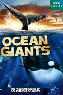 Ocean Giants - Ocean Giants (2011) Ocean Giants - Ocean Giants (2011)